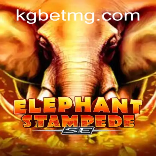 KG.BET Casino App
